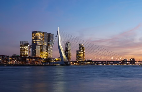 SEO Rotterdam
