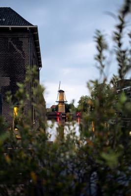 SEO Schiedam