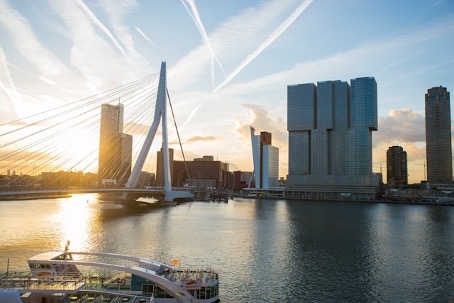 SEO Specialist Rotterdam