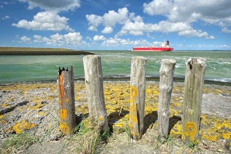 SEO Terneuzen